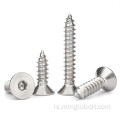 Ryðfrítt stál 304 410 Self Tapping Wood Screw